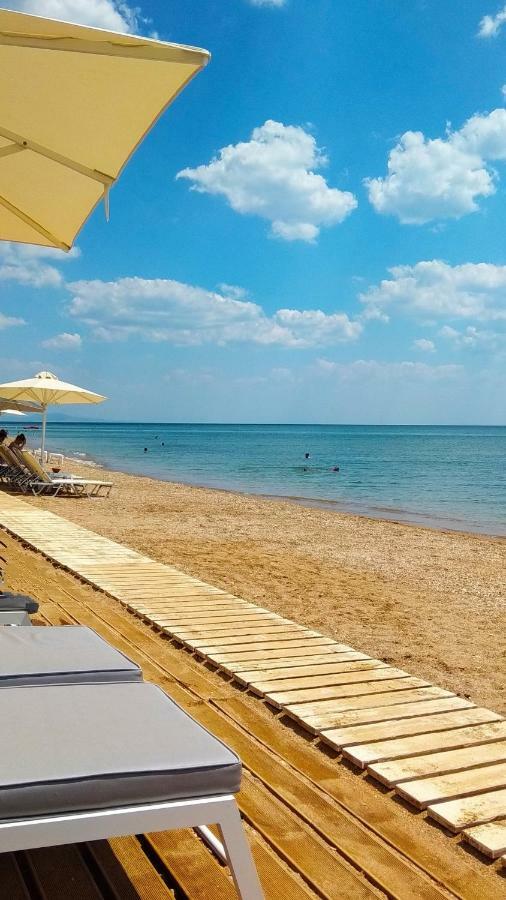 Marizot Apartment Aleksandropolis Zewnętrze zdjęcie